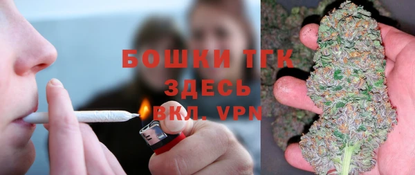 сатива Алексин