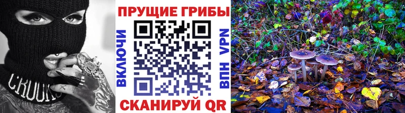 ОМГ ОМГ рабочий сайт  Сосновоборск  Псилоцибиновые грибы мицелий 