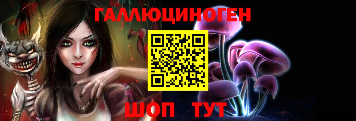 Сосновоборск  что такое наркотик  Вход с VPN  Галлюциногенные грибы Magic Shrooms  Псилоцибиновые грибы GOLDEN TEACHER 